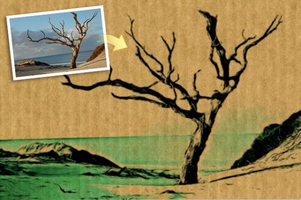 Inkify Effect on a tree photo Inkify Effect on a tree photo